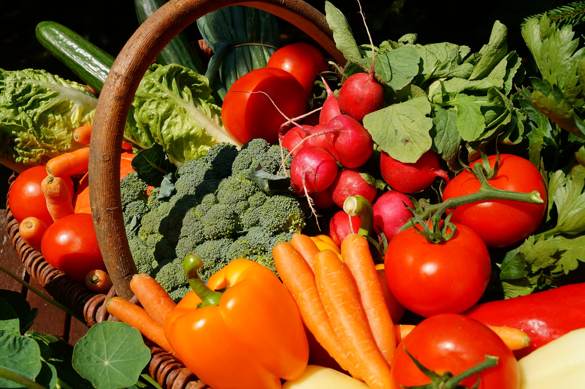 The Role of Nutrition Support in Preventing and Managing Anemia | Hy-Vee Pharmacy Solutions